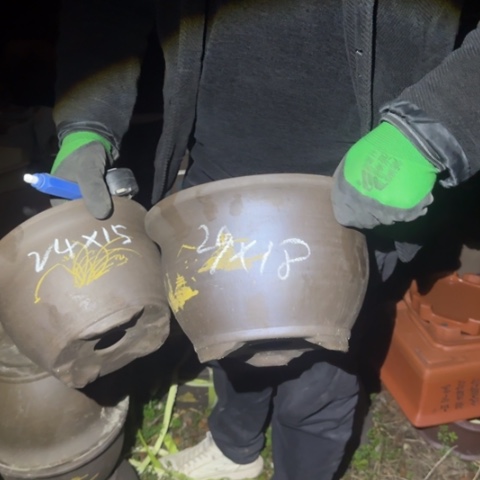 红陶紫砂花盆盆景盆栽瑕疵