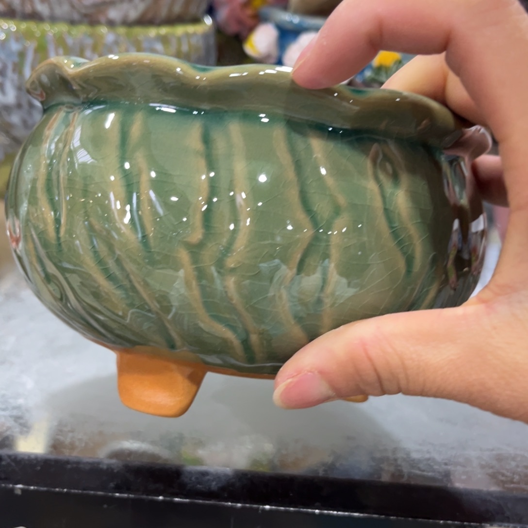 红陶福利福利福利