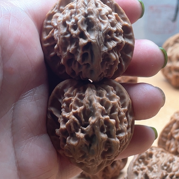 只***眼秦岭野生鸡心核桃张