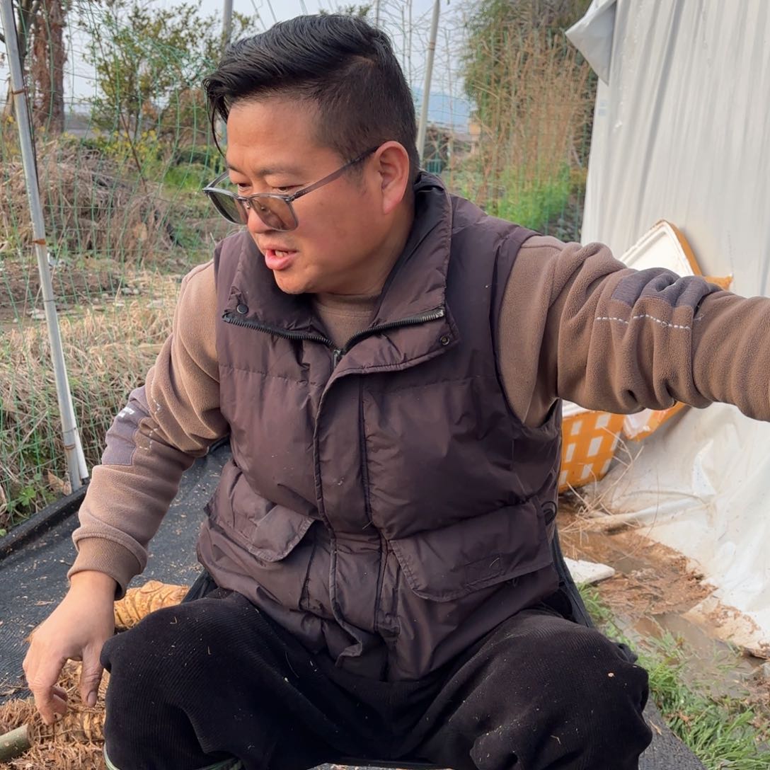 飘**人海南小叶勒竹子