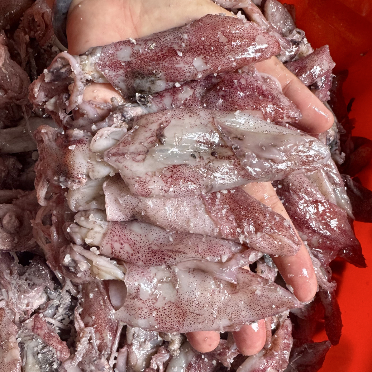 碣石尼阿解，自家渔船就船腌