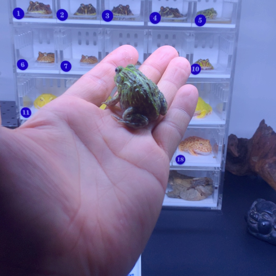 角蛙石墨烯产业结构升级改造成