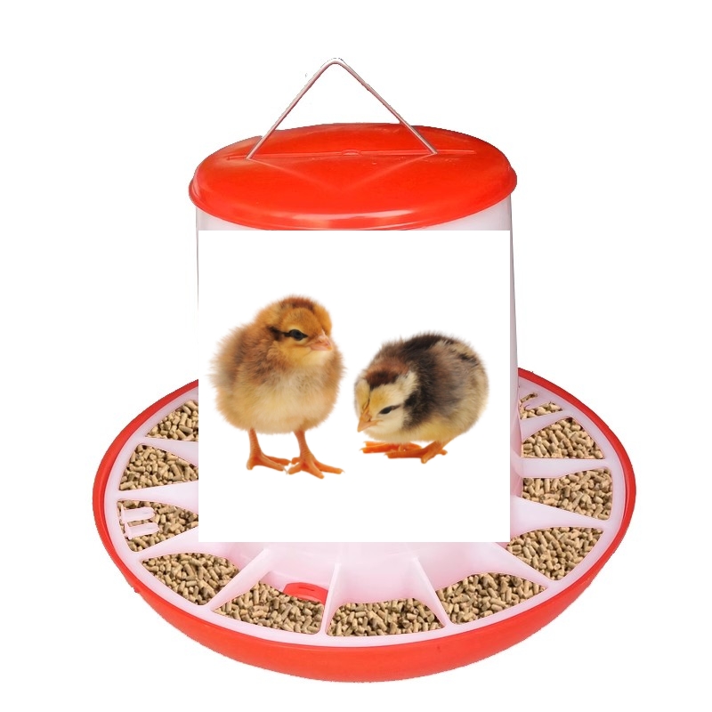 【三黄50只]黄鸡饲料桶全自动水壶鸡食槽饮水器自动下料饮水饲料桶