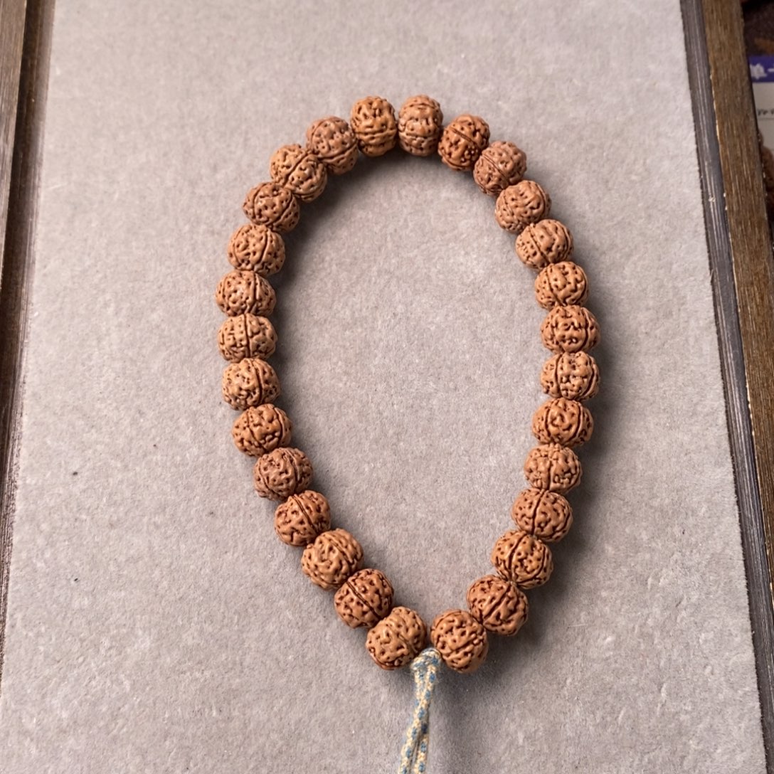 小***满金刚菩提手串老树王