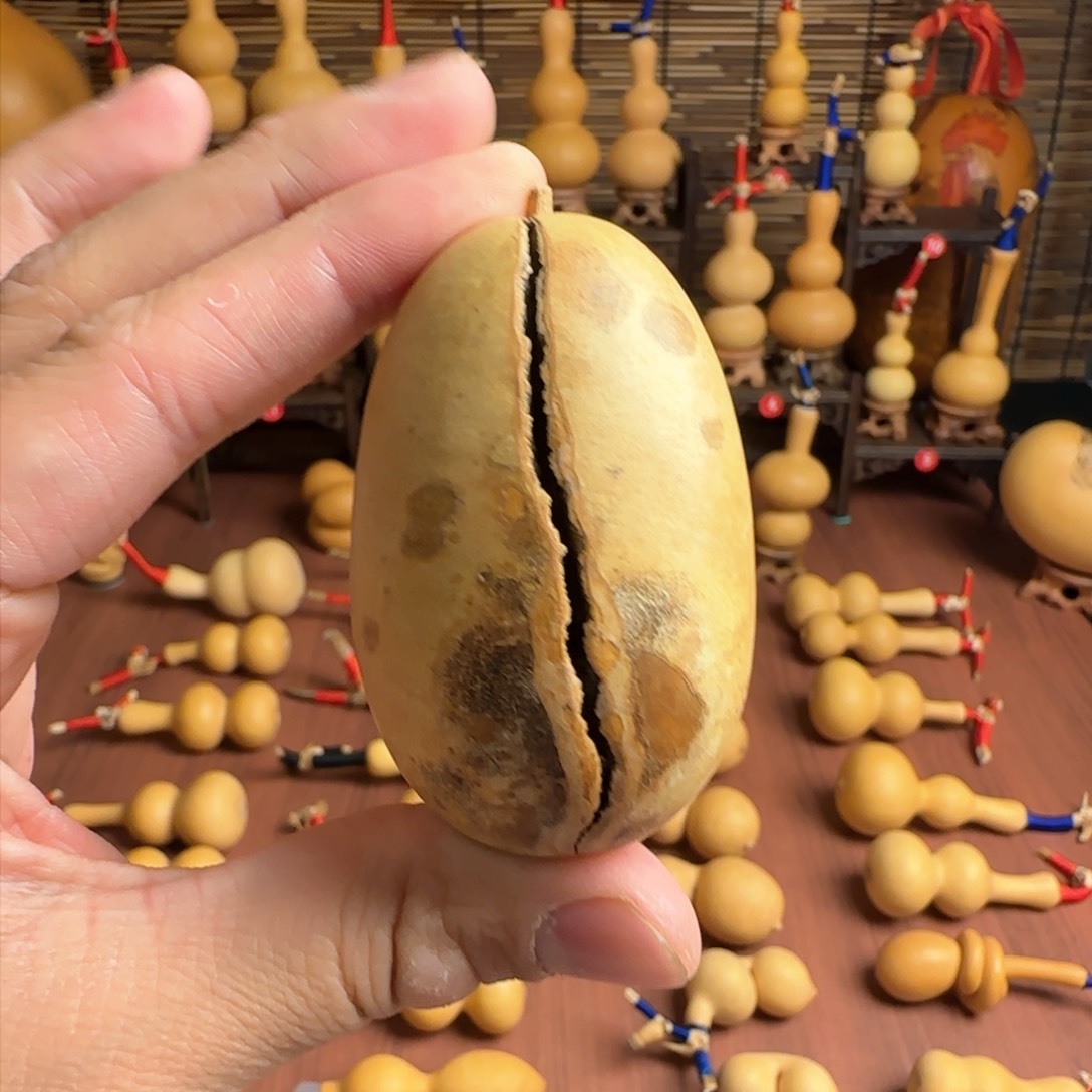 天裂手把花皮小冬瓜