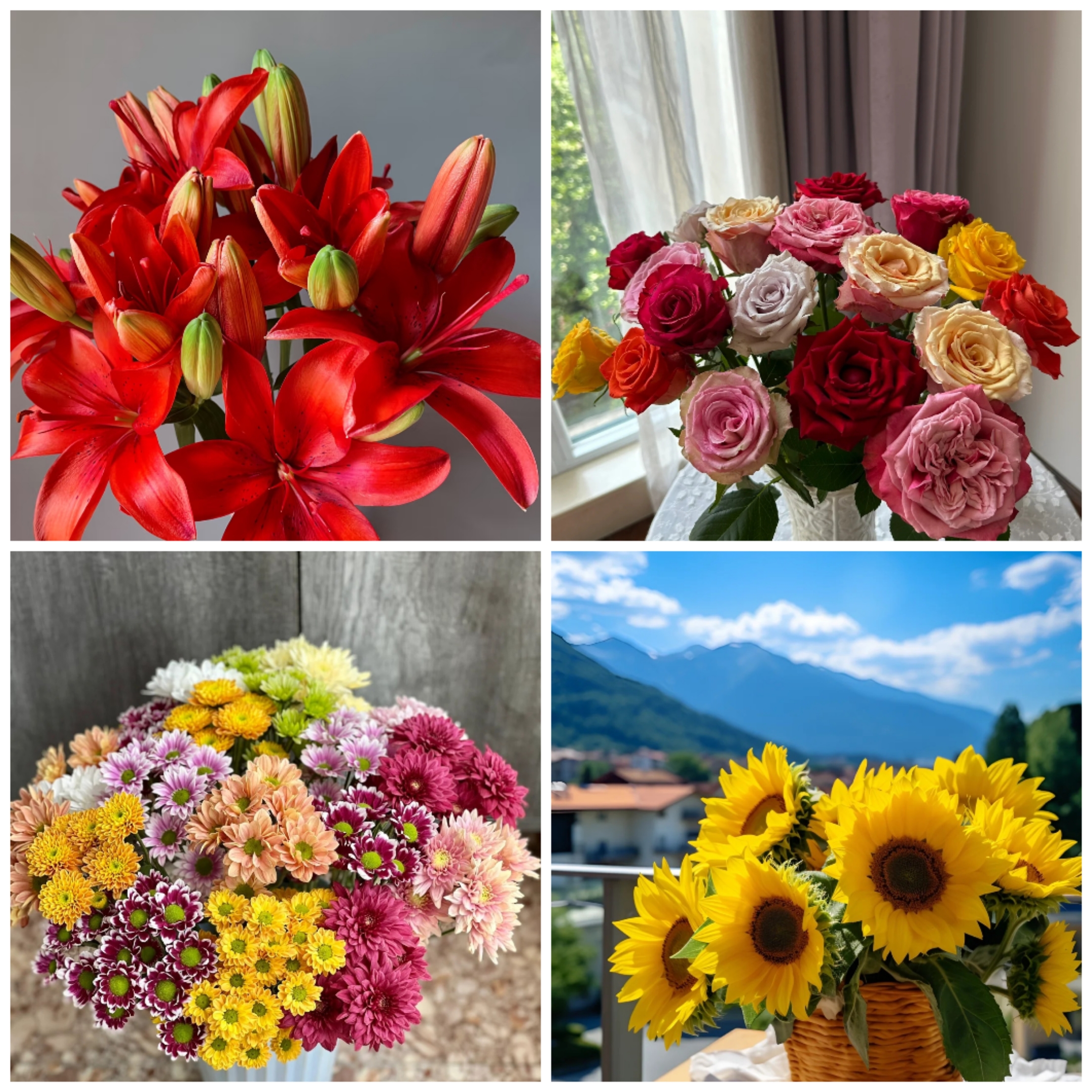 一举夺魁鲜花大礼包  居家办公优选 （东北基地发货）