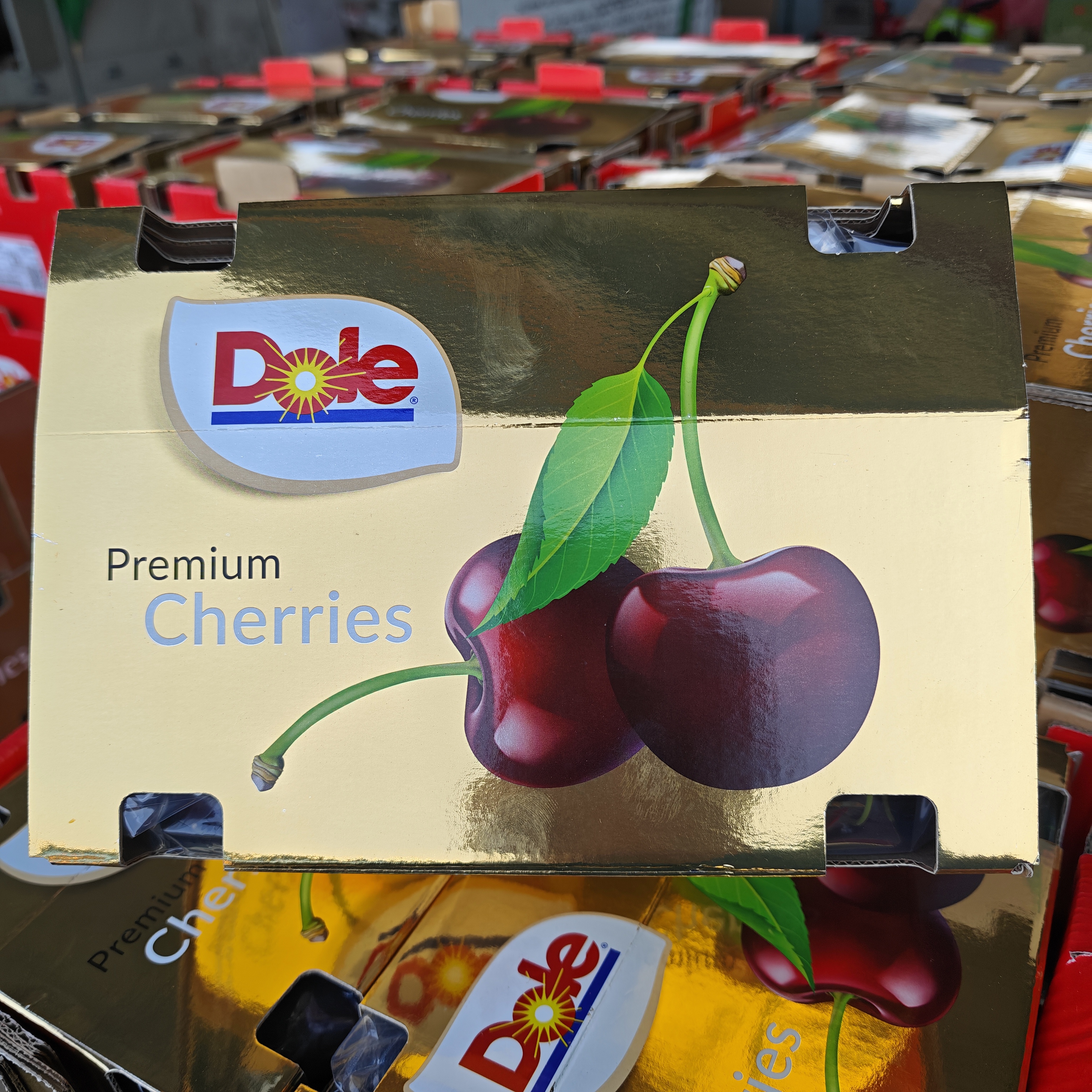 金都乐 4JD 桑提娜智利空运进口车厘子 净重1-5斤 内附果径卡