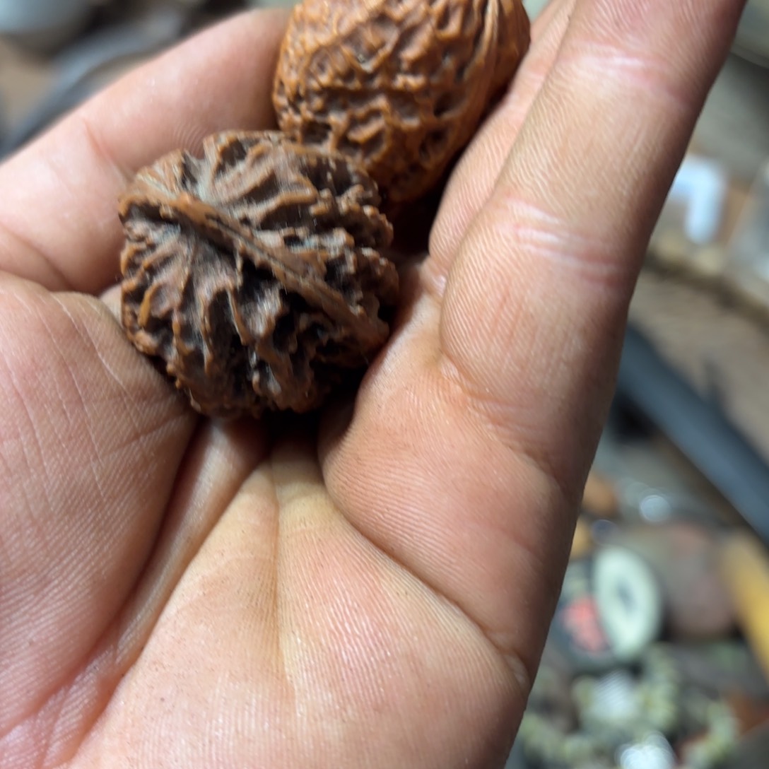 ?***?一物一图，谨慎下单