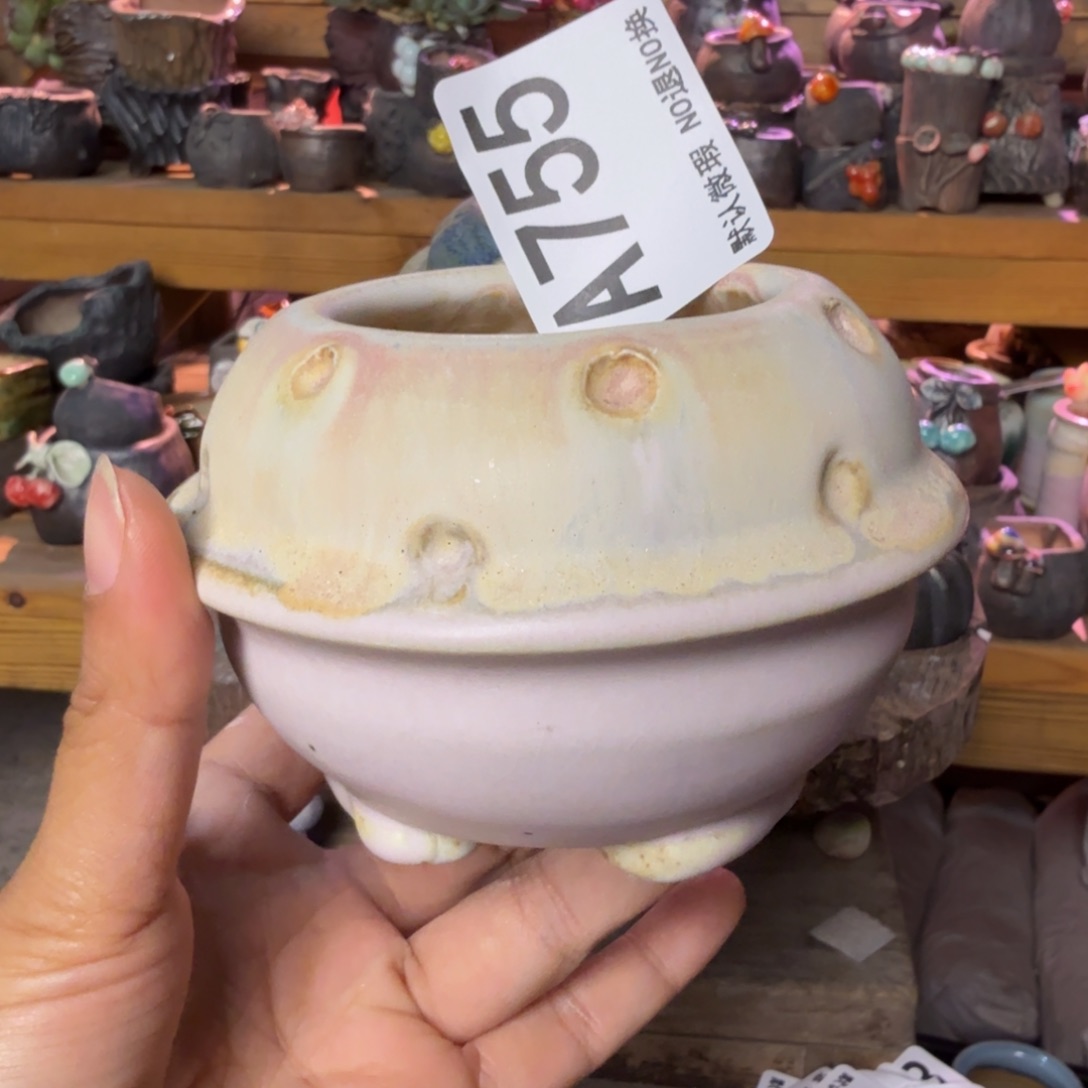 重庆小燕子欢迎大家755