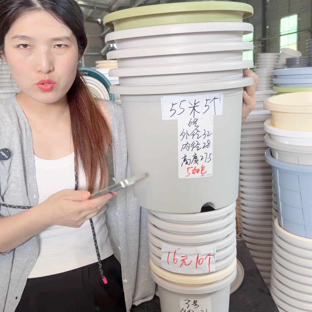 微瑕6#无拖灰白5个