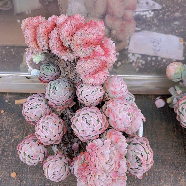 在一片黑暗之中也是最美好