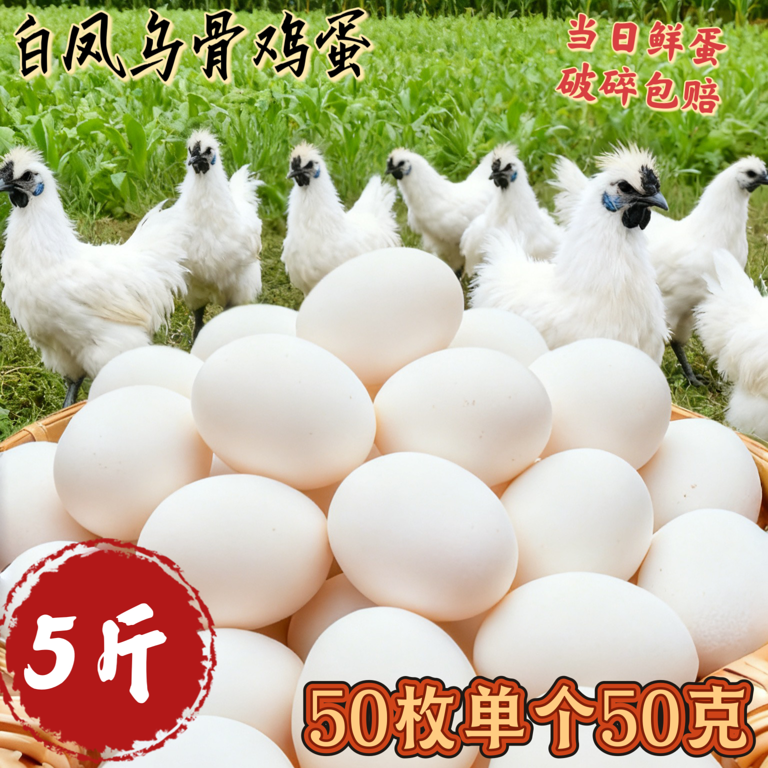 50枚新鲜白凤乌鸡白壳鸡蛋林间散养适合孕妇鸡蛋大号土鸡蛋45±5
