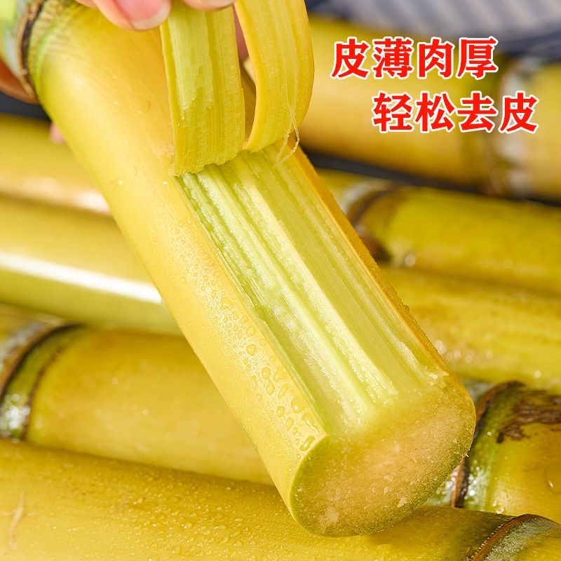 云南正宗黄金甘蔗新鲜当季水果甘蔗现砍脆甜多汁
