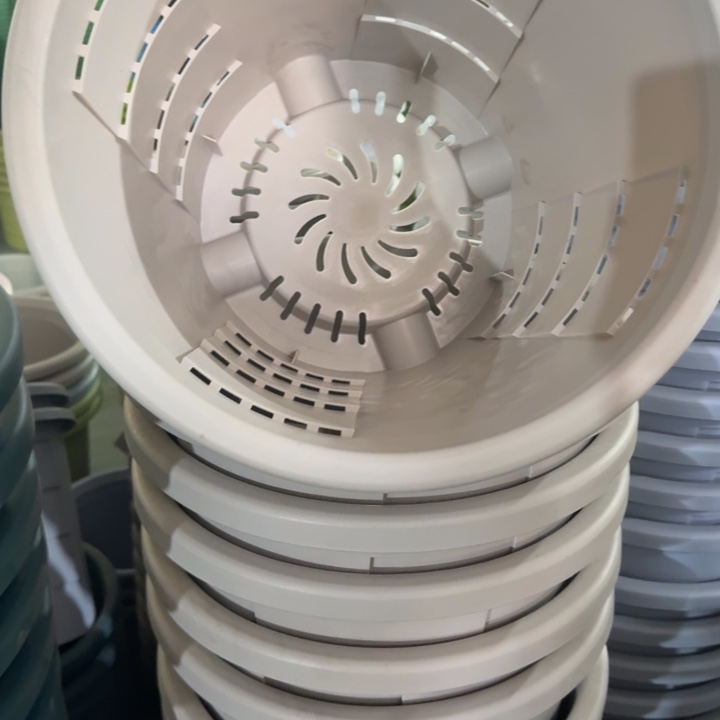 测7#无托灰白5个微瑕