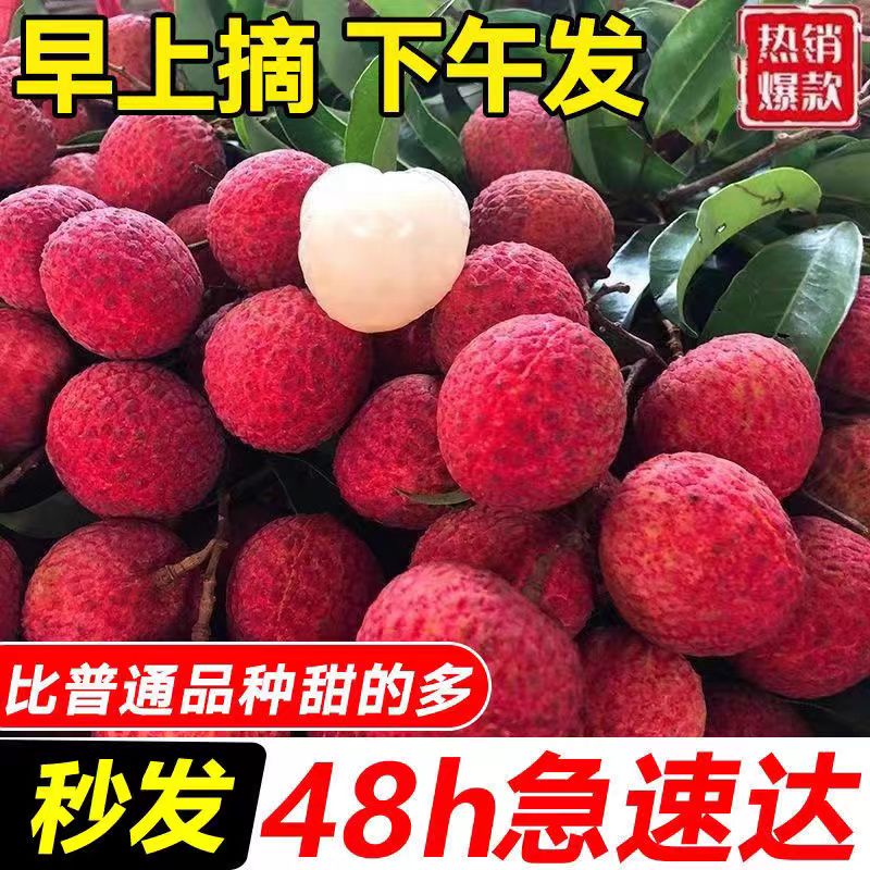 D2【坏果包赔】正宗冰糖乌叶高山老树果黑叶荔枝新鲜采摘清甜多汁