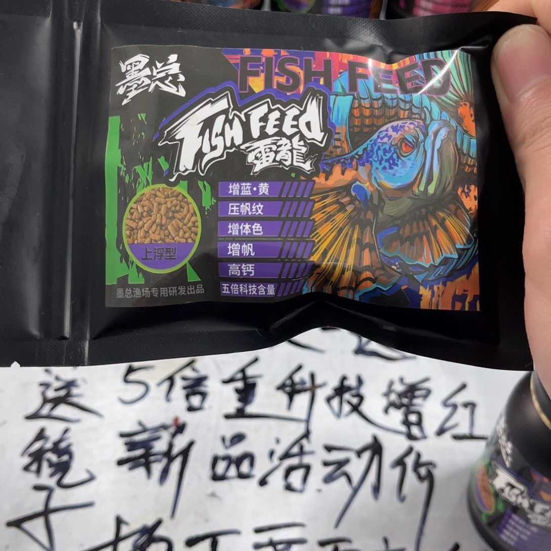 雷龙鱼五倍蓝色的