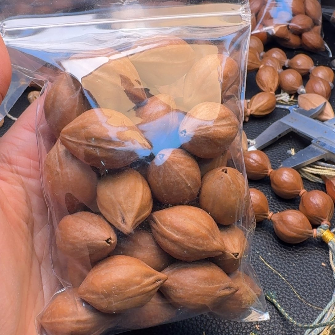 执***坤手串/手链橄榄核1