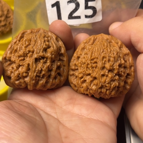 吊坠文玩核桃招**鸟高炮4.4