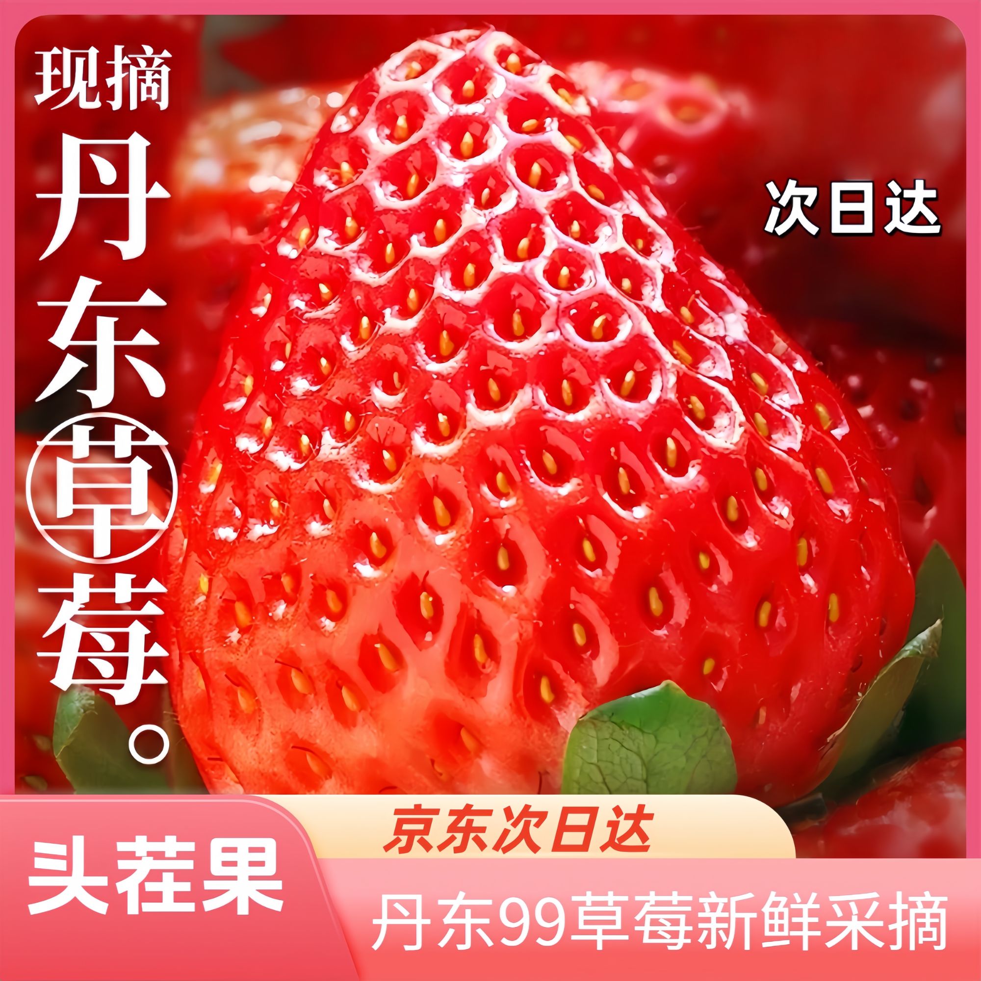 【头茬】正宗丹东红颜99草莓新鲜现摘牛奶大果孕妇小孩京东次日达辽宁省