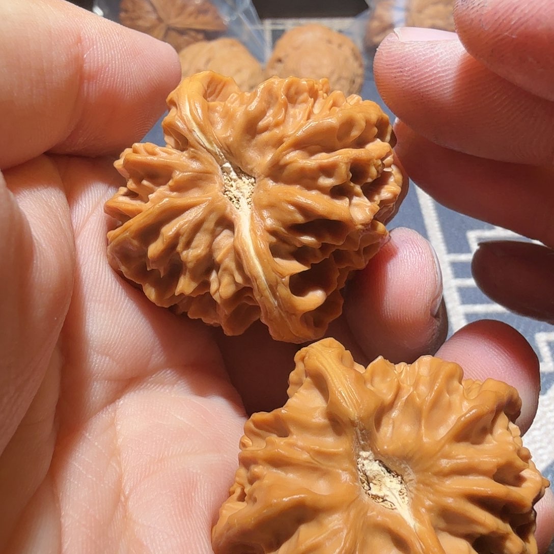 文玩核桃把件曹大龙