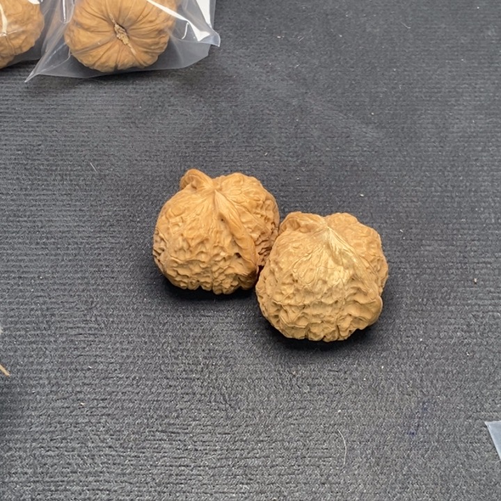 文玩核桃把件吕*南瓜墩