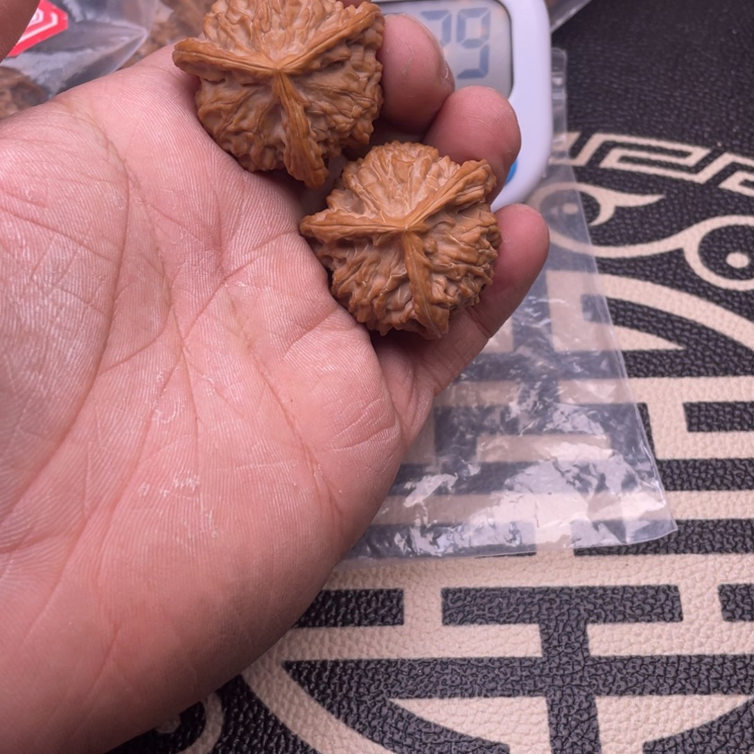 逃盘山公子帽三棱38尺寸