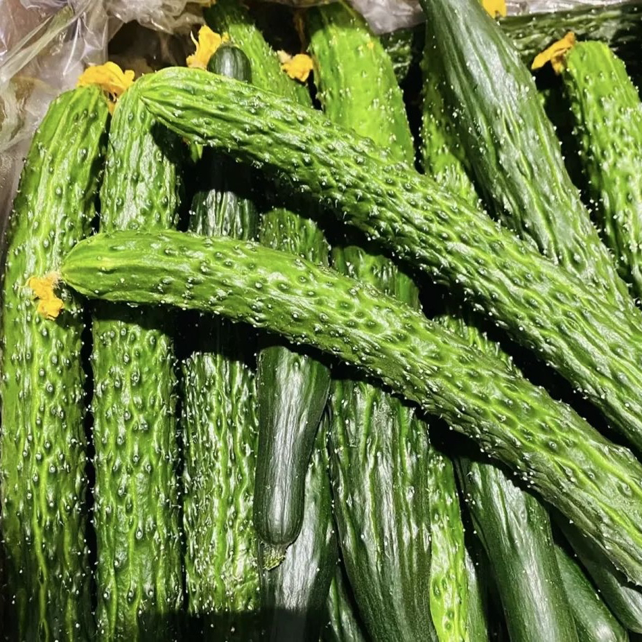 【云货心选】老品种露天黄瓜