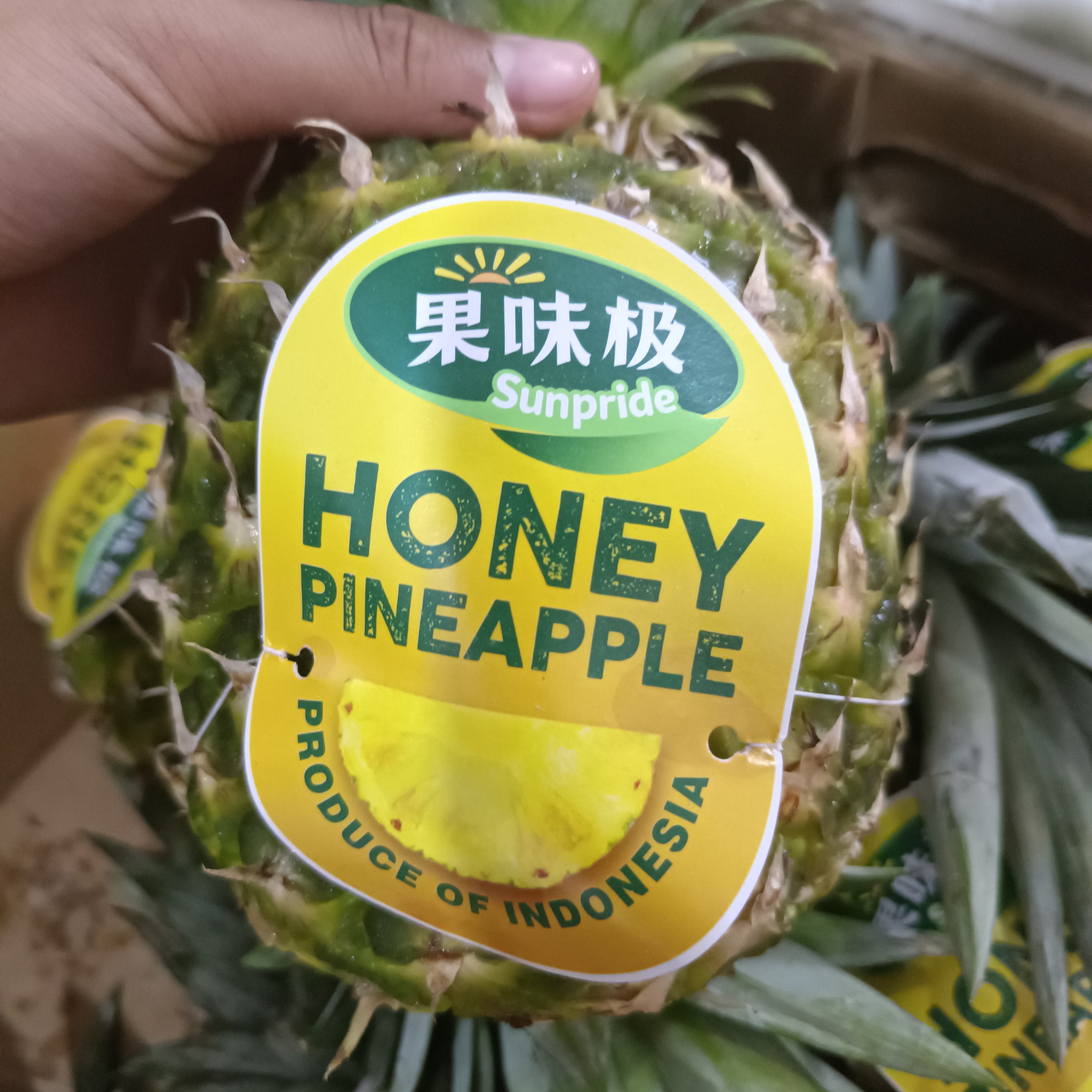 果味极西瓜凤梨（一个）