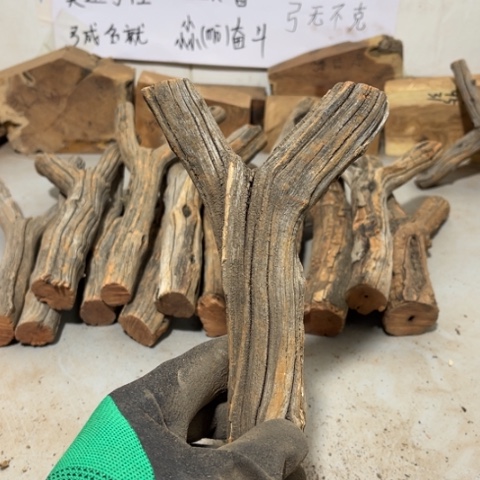 大果紫檀（缅甸花梨）繁*·