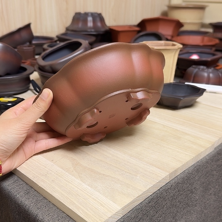 红陶曹*紫砂花盆哈哈哈