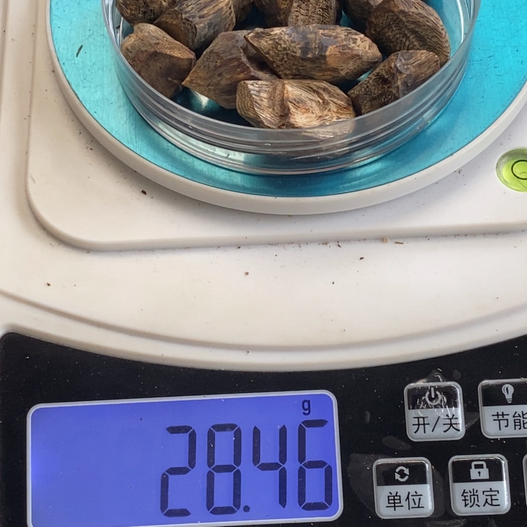 时***雨沉香碎屑沉香虎斑紫奇树钉料