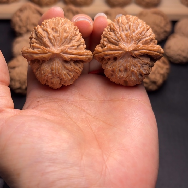 把件文玩核桃40白狮子