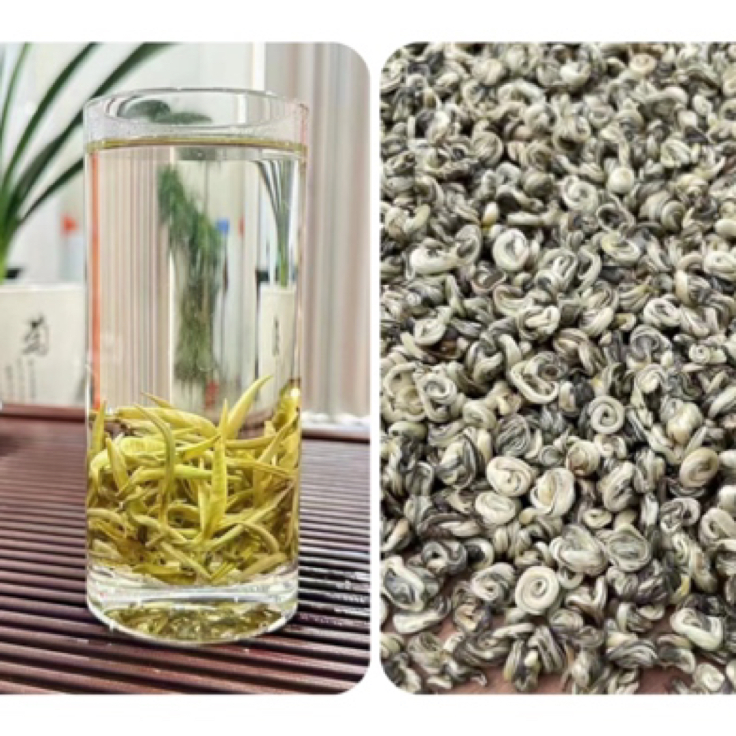 茉莉花茶茉莉白玉螺