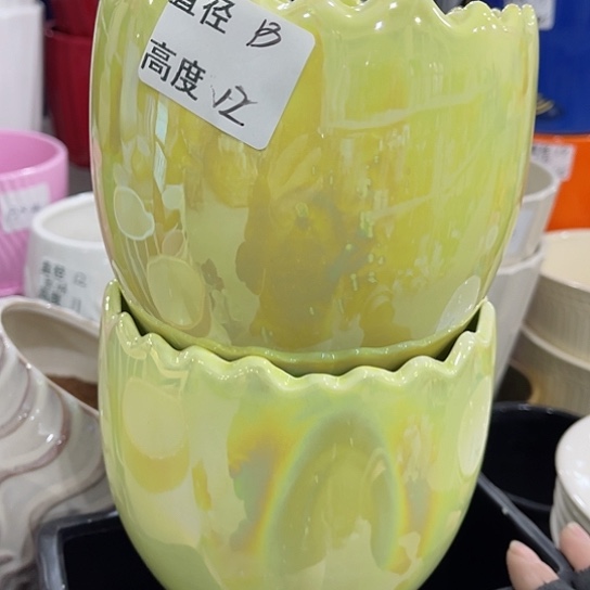 多年绿植陶瓷花盆9.9包邮，有孔