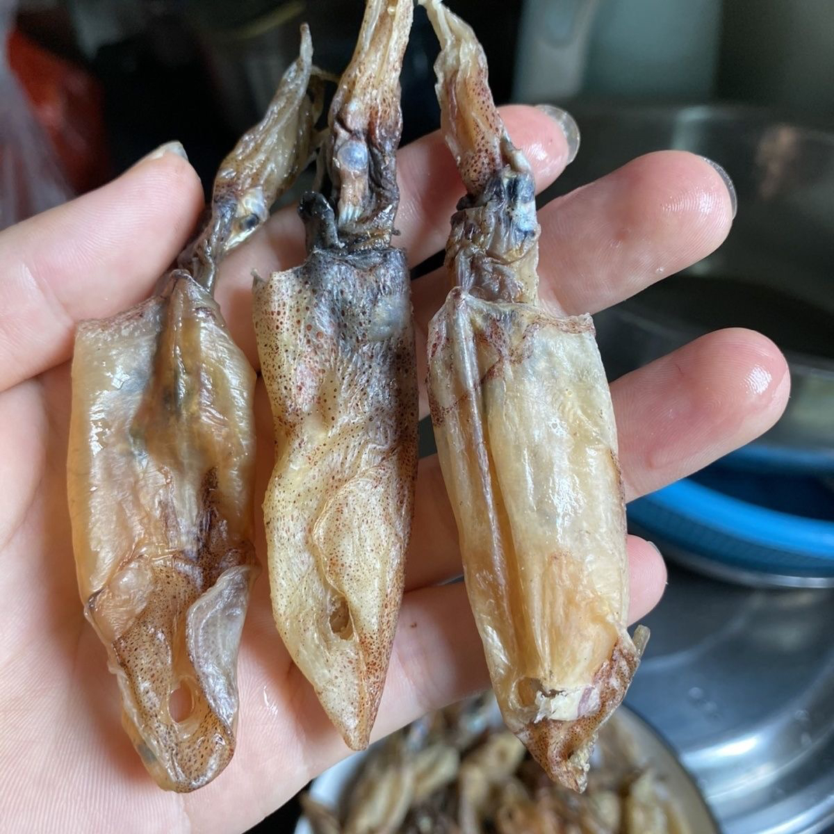 北部湾鱿鱼干干货船上新鲜吊晒鱿鱼筒海兔淡干无盐小鱿鱼干鱿鱼仔