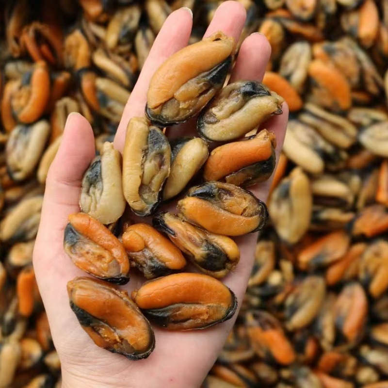 湛江特产精选淡菜干干货500g海虹肉干贻贝青口肉海鲜干货煲汤煲粥