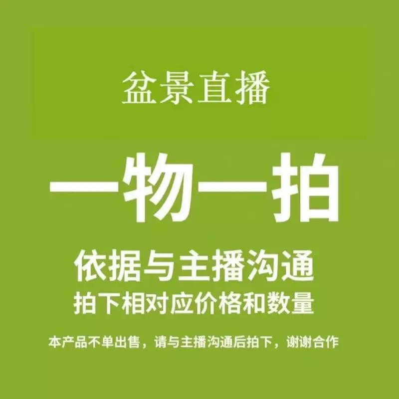 【直播专用一物一拍】梅花老桩盆景植物花卉耐寒植物室内外开花