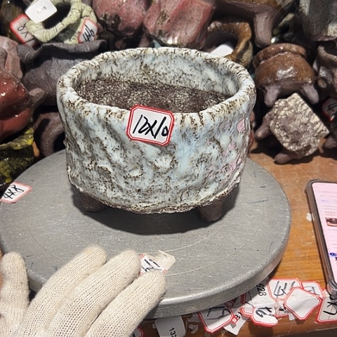 粗陶花盆制作就这样了，现在