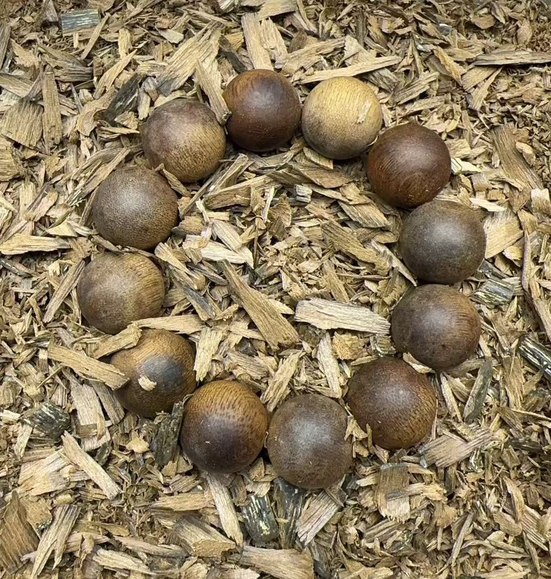 沉香 老九优选d/028