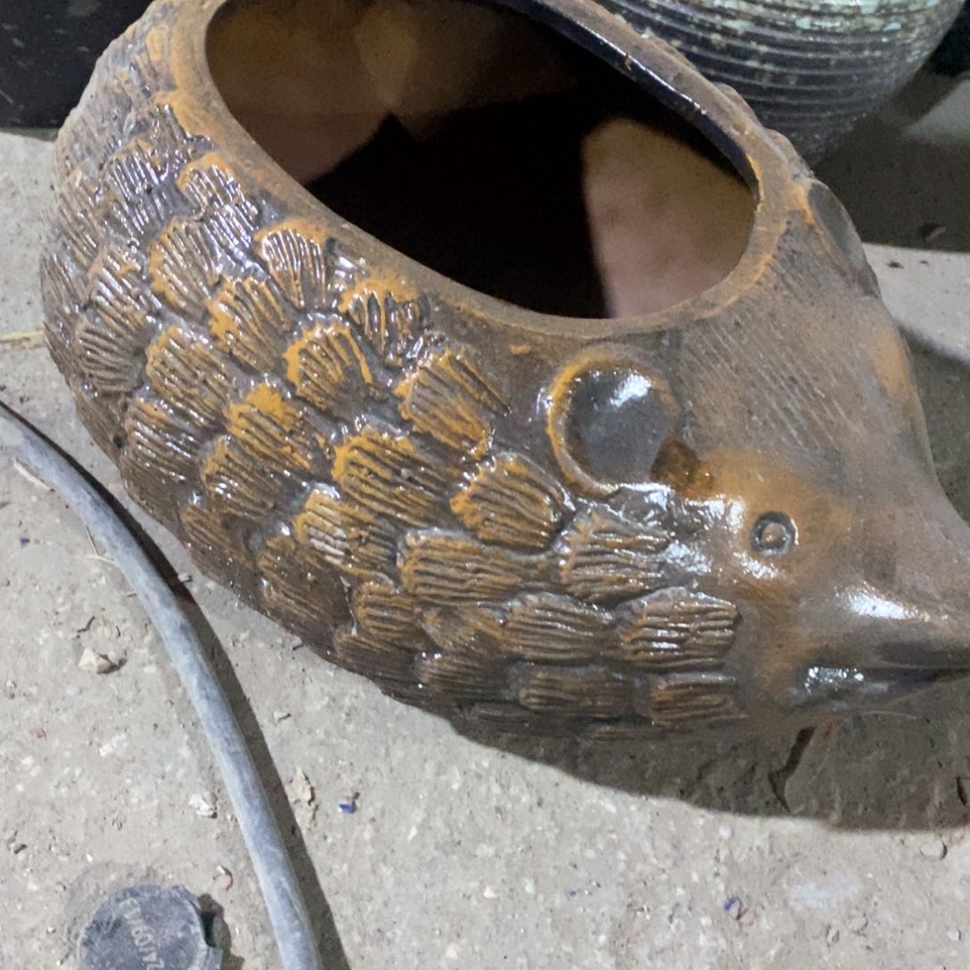 红陶瑕疵v n jb v vv