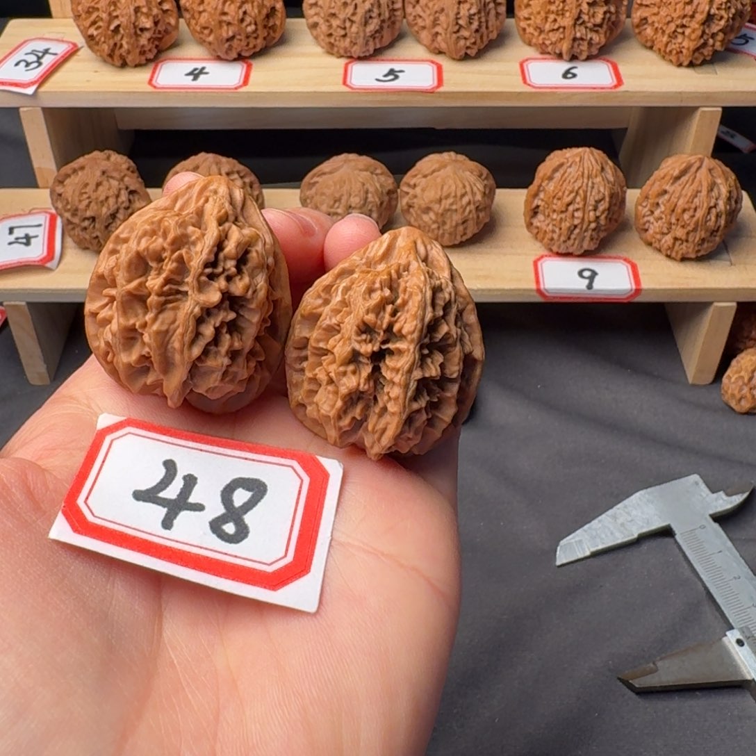 文玩核桃把件状元冠35尺