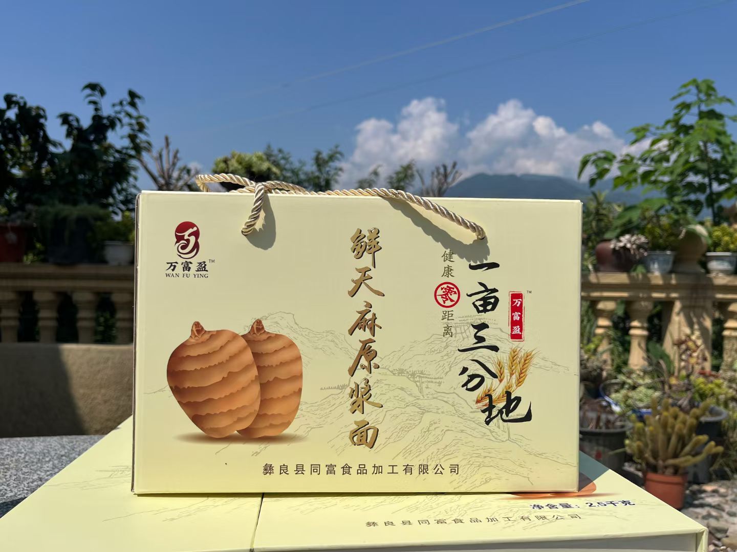 （乡音助农）一亩三分地鲜天麻原浆面条厂家直发