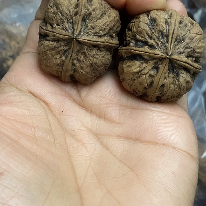 把件文玩核桃云南铁核桃基地3