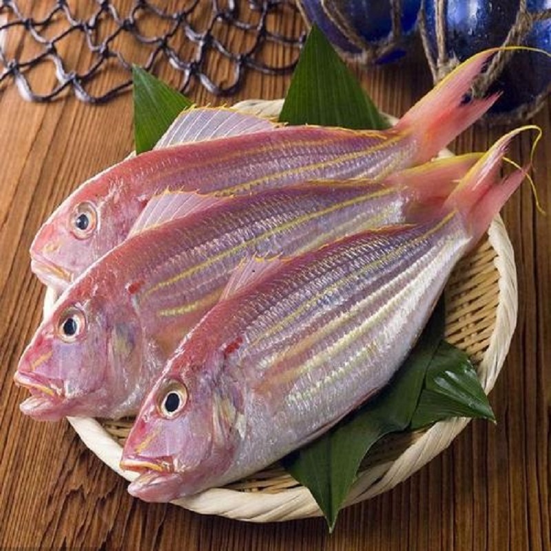 套餐A  金线鱼  广东阳江闸坡纯野生  5-6条/斤