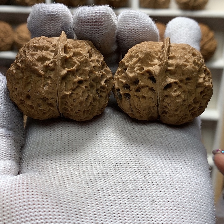 核桃42尺圆肚肚13号