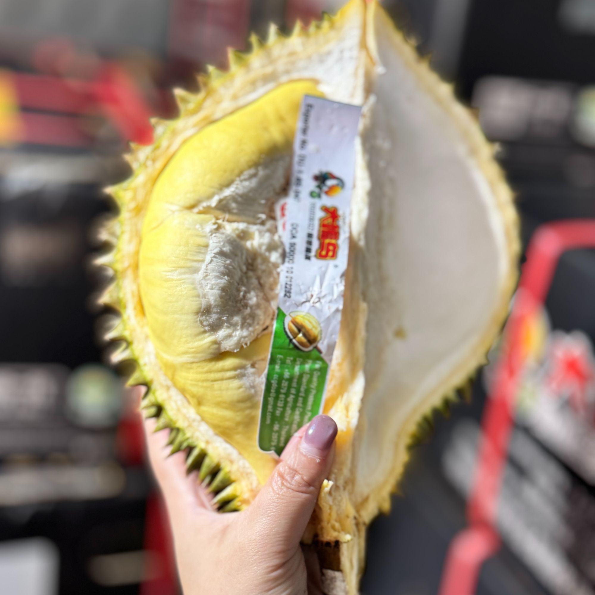 3空运大嘴鸟新鲜金枕榴莲核小2kg4kg5.31金枕泰国榴莲同城配金枕泰国