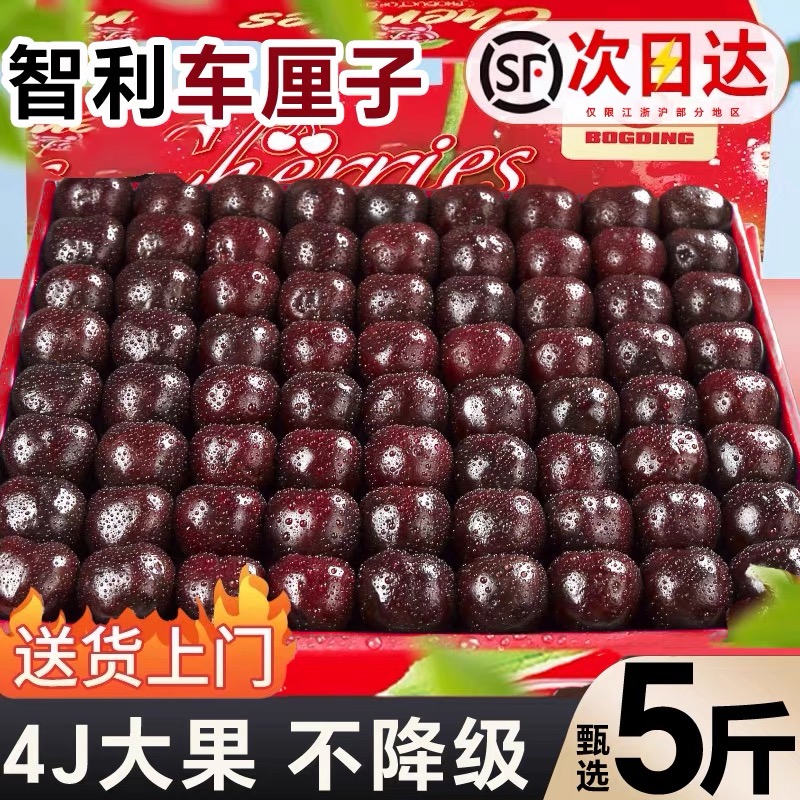 智利进口车厘子空运桑提娜2J-4J礼盒包装顺丰空运内附果径卡