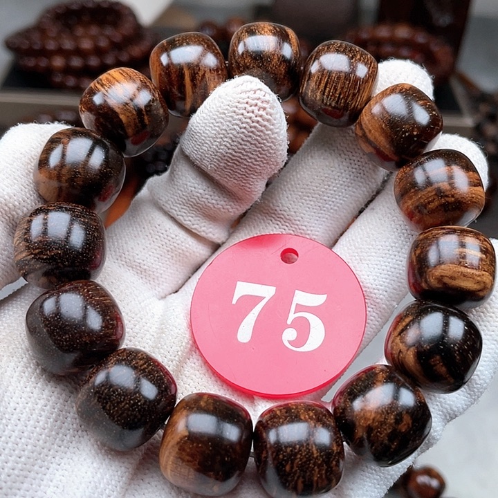 贡木其他黑瘤疤老型1516