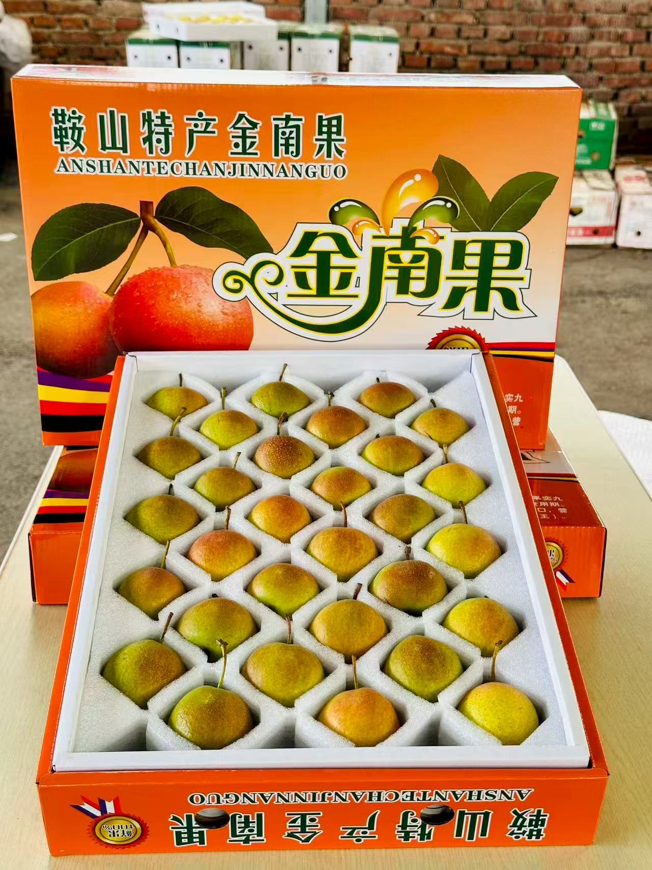 鞍山特产南果梨英不落 阳面果