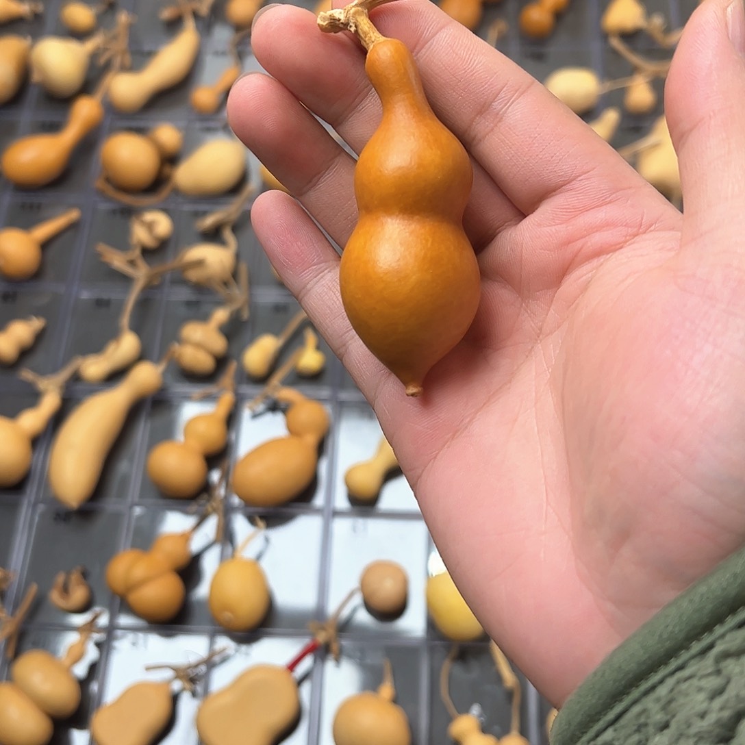 星***息葫芦娃的时候我也是醉了